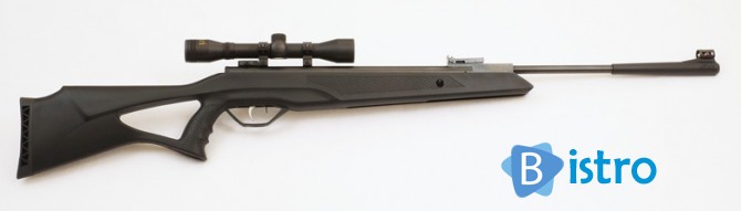 Новая пневматическая винтовка Beeman Longhorn - изображение 1