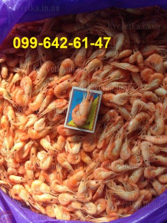 Крупная калиброванная креветка черноморская - изображение 1
