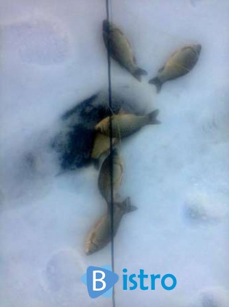 косынка рыболовная оснащенная 1.5*1.5м 18мм - изображение 1