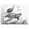 Royal Brush Скетчинг мини зарисовка 10х15см - морские черепахи