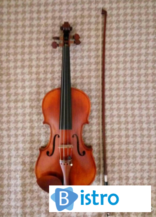 Продам скрипку Carlo Giordano 3/4 в очень хорошем состоянии - изображение 1
