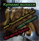 Продати волосся в Житомирі Скупка волосся Житомир