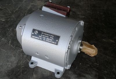 Электродвигатель ЭП-110/125 - изображение 1