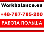 Работа в Польше для Украинцев 8 часов. Бесплатные вакансии