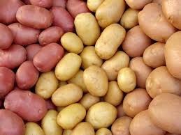 Продам картофель посевной 1 репродукции. - изображение 1
