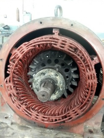 Электродвигатель 250/1480 на ЭКГ-5 - изображение 1