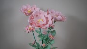 Дикая роза с изолона для украшения свадебного зала (ростовые цветы)