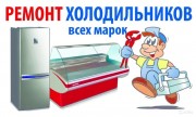 Ремонт холодильников в Киеве и Киево-Святошинском районе.
