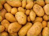 Продам картофель оптом и в розницу с доставкой по Украинe