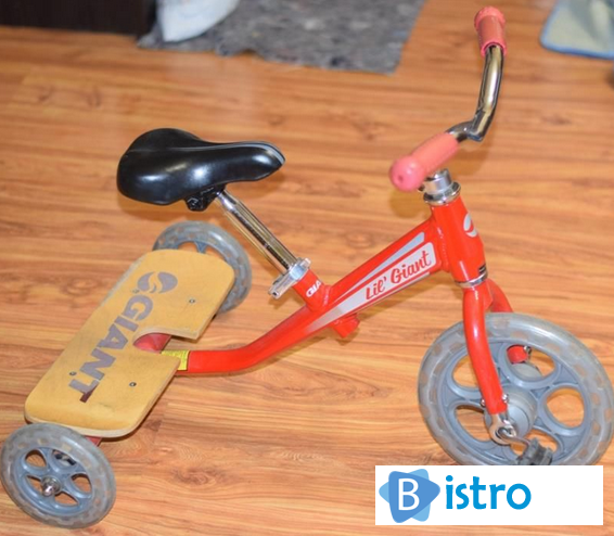 Детский 3-х колесный велосипед Giant Lil Trike - изображение 1
