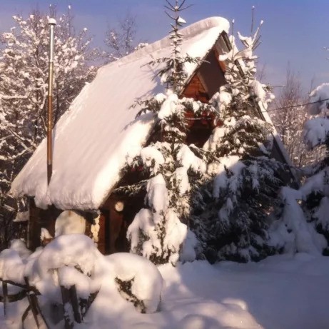 Продам домик из дерева в Карпатах Дубовое, Закарпатская область - изображение 1