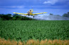Услуги авиации в сельском хозяйстве