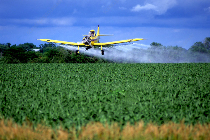 Услуги авиации в сельском хозяйстве - изображение 1