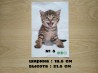 Наклейка котик номер 5 для ванны, детской комнаты
