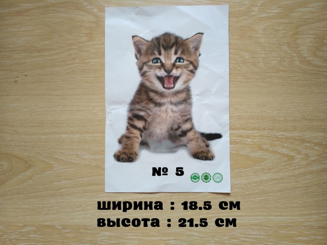 Наклейка котик номер 5 для ванны, детской комнаты - изображение 1