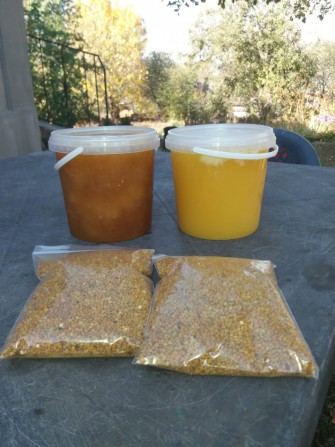 Мёд подсолнух, гречка, Разнотравья - изображение 1
