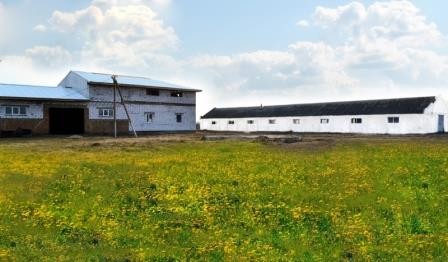 Продается комплекс агропромышленного предприятия в Житомирской области - изображение 1