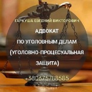 Послуги кримінального адвоката в Києві.