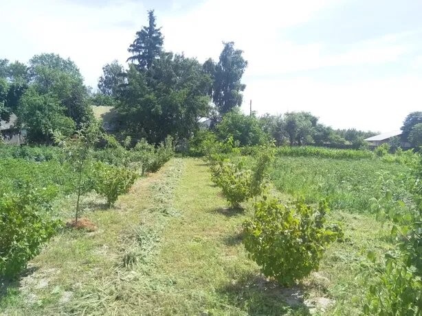 Земельна ділянка під будівництво с.Клочків по вулиці Лугова - изображение 1