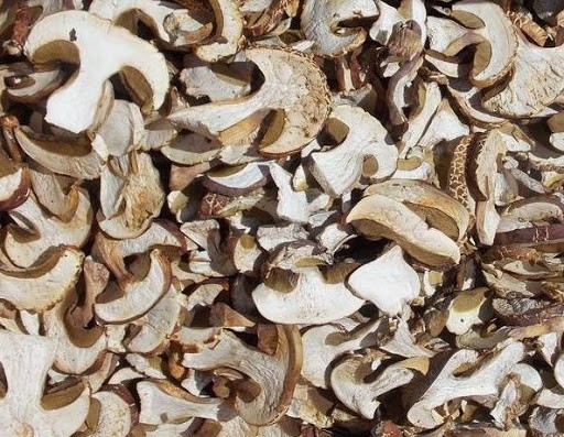 Продам сушеные грибы Шиитаке - изображение 1
