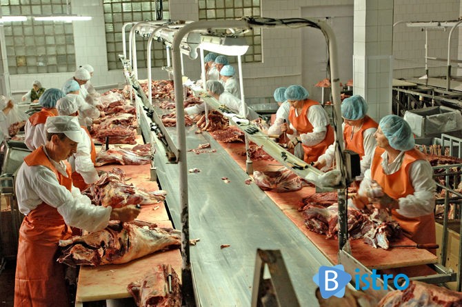 Работники мясного склада в Польшу - изображение 1