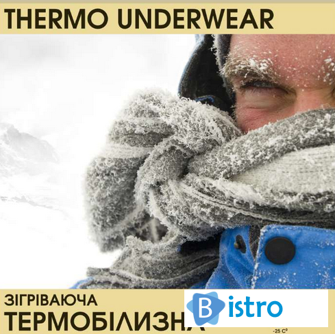 Теплое Термобелье на зиму из микрофлиса + Подарочная упаковка!!! CamР - изображение 1