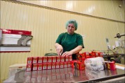 Рабочие на упаковку чая в Германии