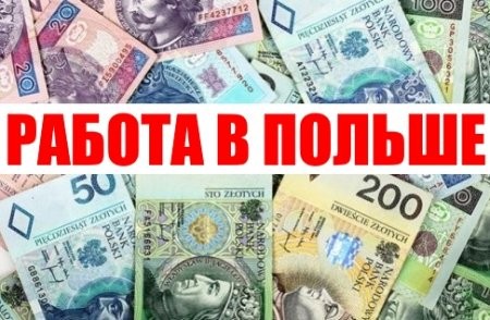 Сортировщик посылок в InPost. Работа в Польше - изображение 1