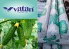Светостабилизированная плёнка для теплиц Vatan Plastik