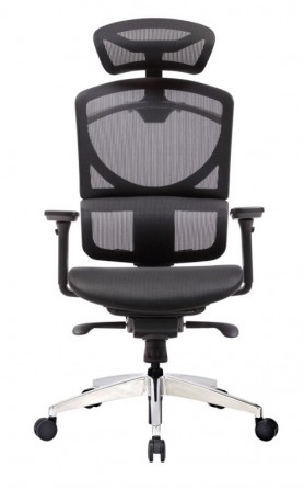 Кресло компьютерное ERREVO ZERO в черном цвете, полированный каркас - изображение 1
