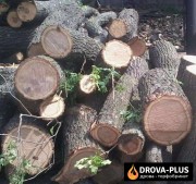 Купити торфобрикет, дрова недорого Drova-plus Рожище