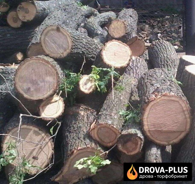 Купити торфобрикет, дрова недорого Drova-plus Рожище - изображение 1
