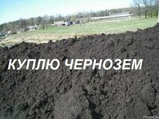 Приму/Куплю Чернозем. Гостомель (Киевская область) - изображение 1