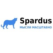 SEO-продвижение и оптимизация сайтов Spardus - изображение 1