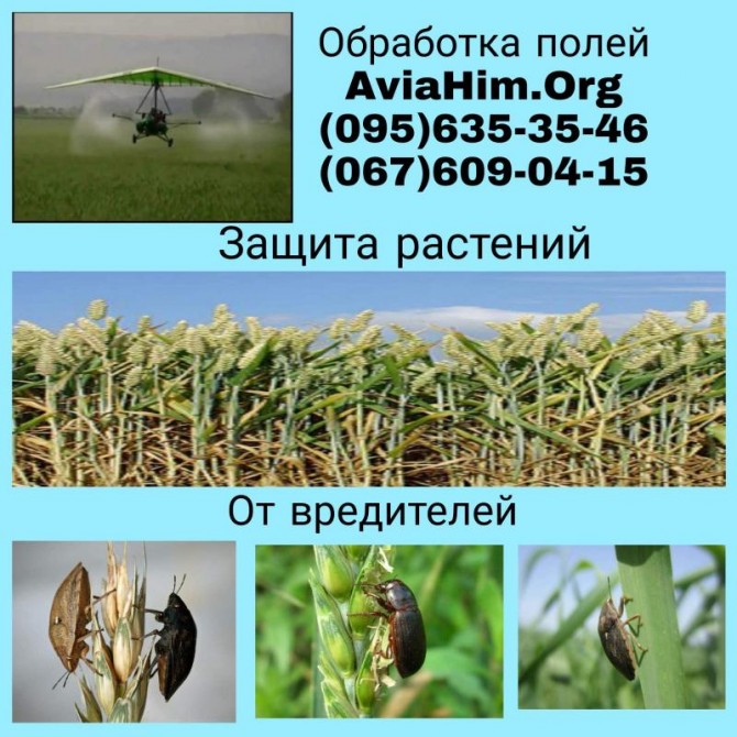Авиахимическая обработка полей, Украина - изображение 1