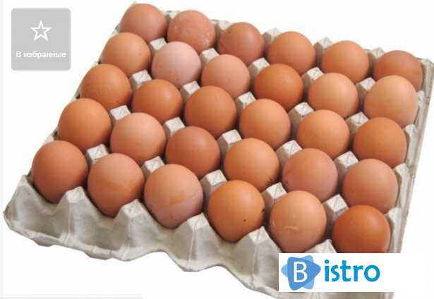 Инкубационное яйцо мясо-яички Фокси Чик Мастер Грей Редбро Испанка - изображение 1