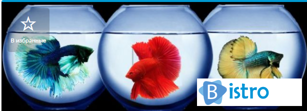 Отличный подарок аквариум круглый шар и рыбка петушок - изображение 1
