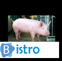 Продам свиней живым весом - изображение 1