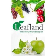 Интернет-магазин Leafland - предлагаем саженцы высокого качества
