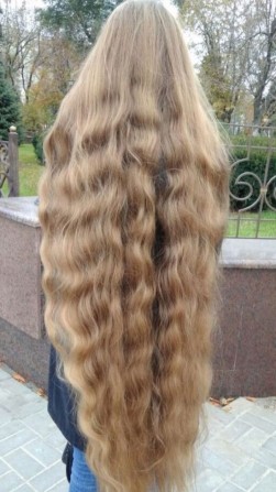 Скупка волос в Одессе! Только у нас Вы получите наивысшую оценку - изображение 1