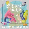 Ветеринар на дом в городе Харьков