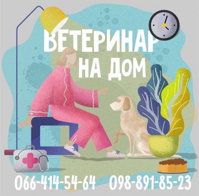 Ветеринар на дом в городе Харьков - изображение 1