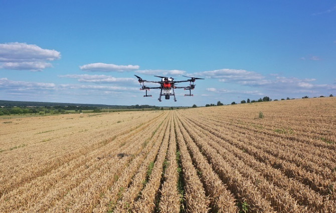 Десикація кукурудзи дронами - изображение 1