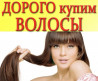 Щодня ми купуємо волосся у Харкові до 126 000 грн. СТРИЖКА БЕЗКОШТОВНО