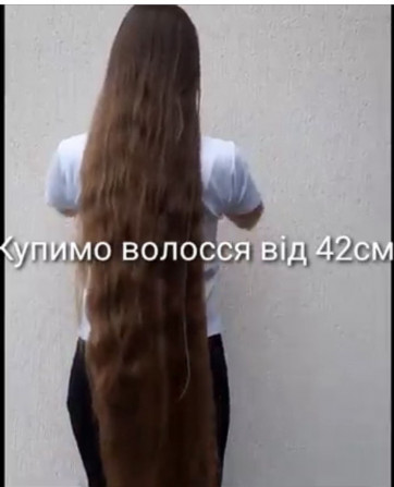 Скупка волосся у Тернополі до 125 00 грн.Вайбер 0961002722 - изображение 1