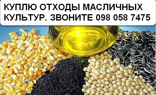 Дорого! Купляємо по всій Україні самовивозом мертві відходи соняшника, - изображение 1