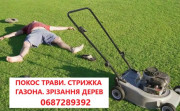 Покіс трави: Київ, Київська область та Біла Церква. Швидко, якісно, до