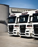 Сучасні авто MAN/DAF/VOLVO — шукаємо водіїв міжнародників