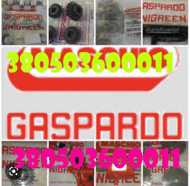 Оригінальні запчастини Gaspardo - изображение 1