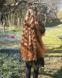 Я купую волосся у ЛУЦЬКУ від 35 см за підвищеною ціною Тел. 0961002722